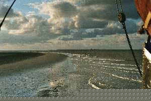 schip op het
                    strand