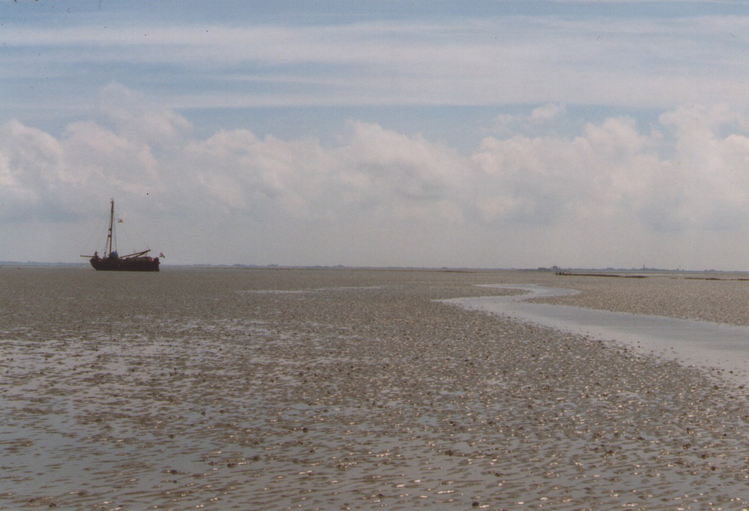 Zwarte
              Ruiter droogliggend bij de dam