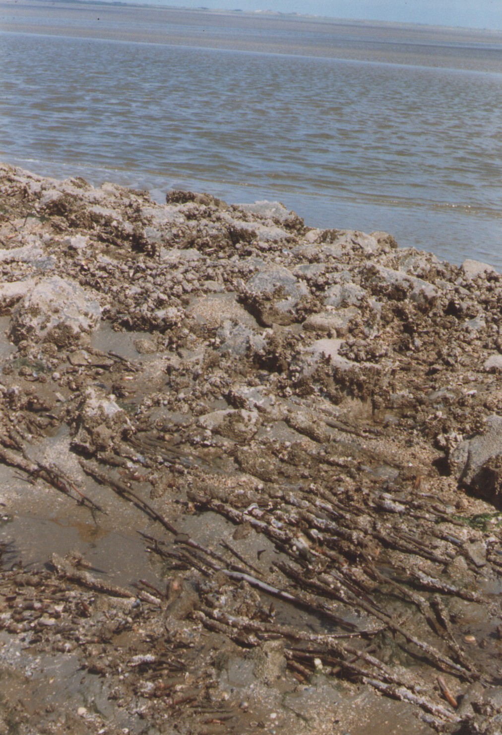 de dam
              bij Ameland in detail close-up