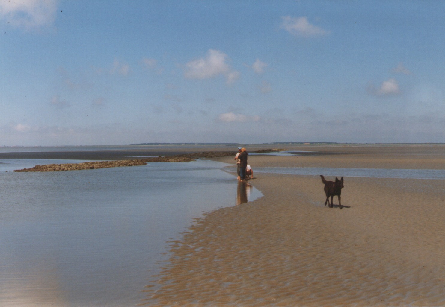 dam
              met hond en mensen