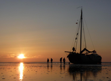 bij
              avondlicht droogvallen op het wad