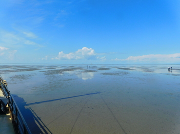 Naast
                het drooggevallen schip op de Wadbodem lopen